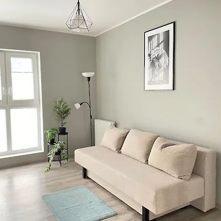 Vetulaniego Canary Comfort Διαμέρισμα Krasków