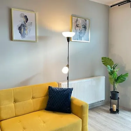 Vetulaniego Canary Comfort Krasków