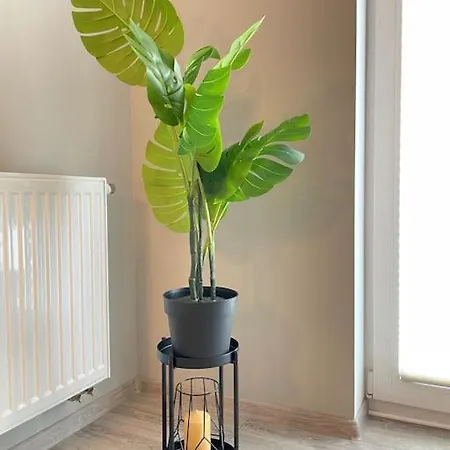 Vetulaniego Canary Comfort Διαμέρισμα *