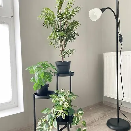 Διαμέρισμα Vetulaniego Canary Comfort *