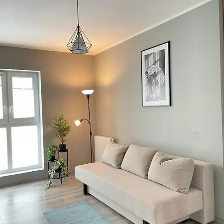 Vetulaniego Canary Comfort * קרקוב