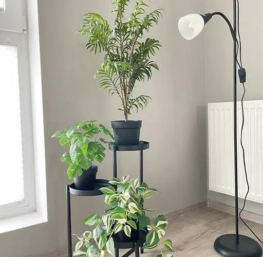 Lägenhet Vetulaniego Canary Comfort *