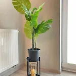 Vetulaniego Canary Comfort Apartment *