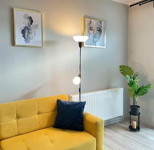 Vetulaniego Canary Comfort Krakow