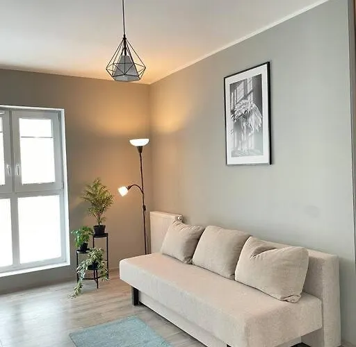 Vetulaniego Canary Comfort * Krakow