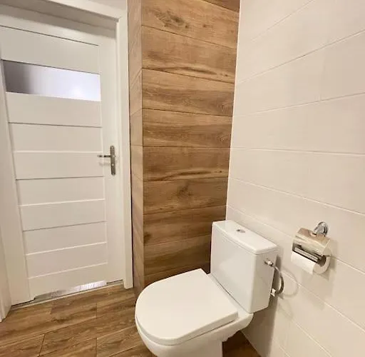 Vetulaniego Canary Comfort * Krakow